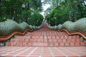 Next time, I'll have a picture that I didn't steal from the Internet