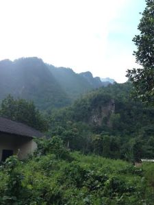 For reference, this is the mountain we climbed without any satisfaction of a view from the top